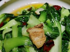 葱油罗马生菜-山丹丹西北菜(金贸大厦店)