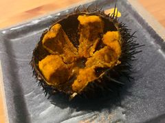 -海胆小馆(东北水饺·春柳店)