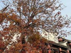 -朝花夕拾中餐厅(台儿庄古城复兴广场店)