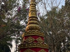 -瑞丽独树成林风景区