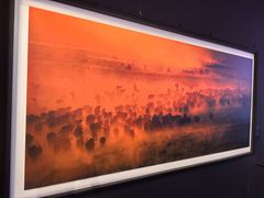 -罗红摄影艺术馆