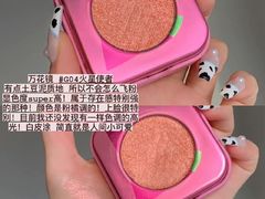 -三亚亚龙湾铂尔曼别墅度假酒店