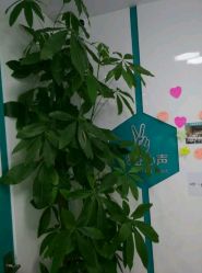 -芙贝佳禾·痘肌管理中心