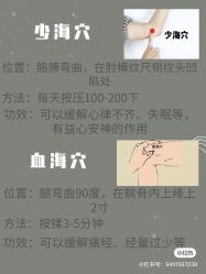 -香薇妮丝女子减肥院