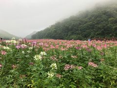 -广州市石门国家森林公园