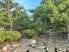 -宝安西湾红树林湿地公园