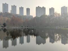 -重庆彩云湖湿地公园