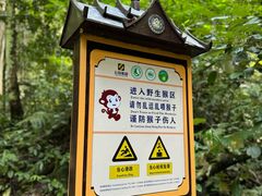 -西双版纳原始森林公园
