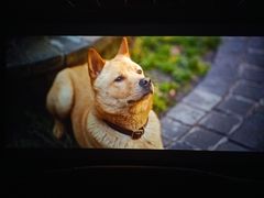 -华美国际影城(旧宫永辉店)