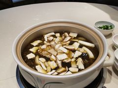 -爱膳菌锅锅(阳南店)
