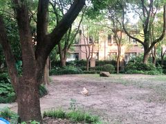 -绿洲雅宾利花园