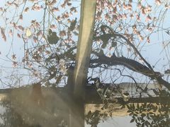 -旅马餐厅(茅家埠店)