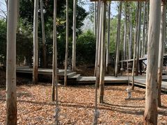 -桉树林A coffee 森林餐厅(三圣乡店)