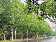 -上海科技馆(地铁站)