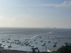 -枸杞岛