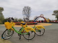 -泗洪洪泽湖湿地景区