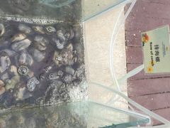 iphone_upload_pic-三亚海韵度假酒店·渔人码头海鲜火锅BBQ自助餐厅·落日吧