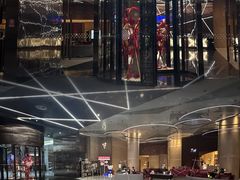 -南京禄口机场雅高铂尔曼大酒店