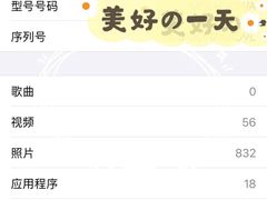 -Apple零售店(成都太古里店)