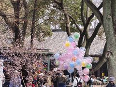 -苏州上方山国家森林公园