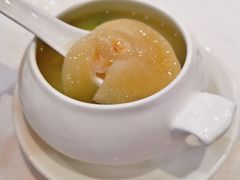 浓汤菜胆翅-寻味顺德·南记酒家·传统顺德菜·鱼生(广源路店)