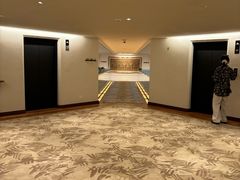 -新加坡乌节希尔顿酒店 (SG Clean)