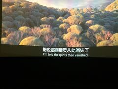 -梦想空间私人影院(金山万达店)