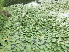 -苏州河梦清园环保主题公园