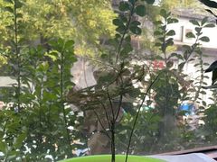 -清真-戏楼王记牛肉面