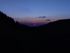 -武陵山森林公园
