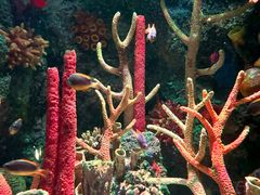 -沈阳海洋探索中心