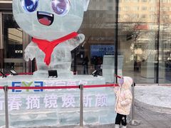 -东北大学附属辽宁爱尔眼科医院