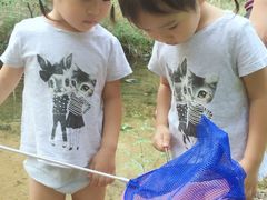 -碓臼峪自然风景区