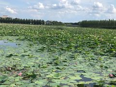 -呼兰河口湿地公园