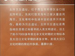 -青岛市博物馆