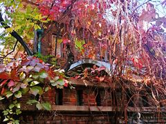 -天津五大道文化旅游区