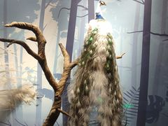 -陕西自然博物馆