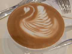 -BLACKSWAN黑天鹅(环球店)