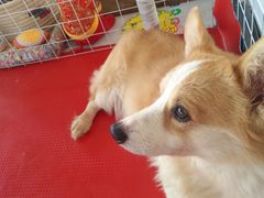 -长春农博园
