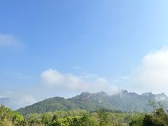 -九曲溪竹筏码头