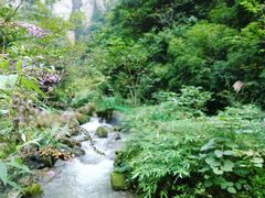 -神龙峡风景区