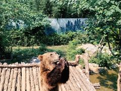 -济南野生动物世界