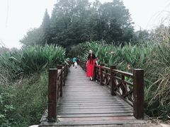 -桤木河湿地公园