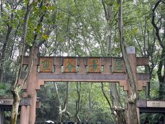 -灵谷景区