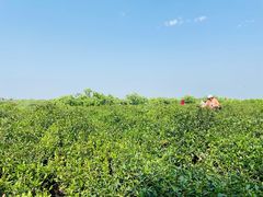 -敬亭山风景名胜区