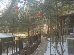 -太阳宫公园