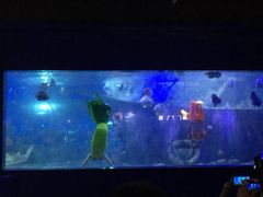 -重庆欢乐海底世界