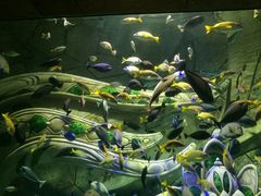 -波塞冬旅游度假区