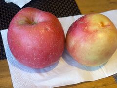 -東舍食唐精品陕菜馆