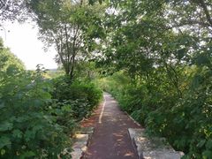 -淇河国家湿地公园